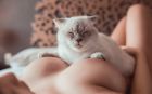 Ирина, рост: 156, вес: 48 - эротический массаж с сексом